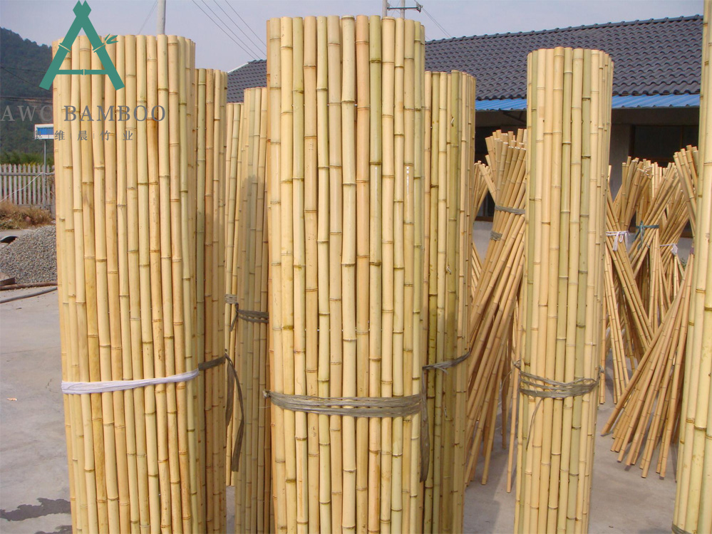 Bamboo Poles - A Versatile Garden Footing Support