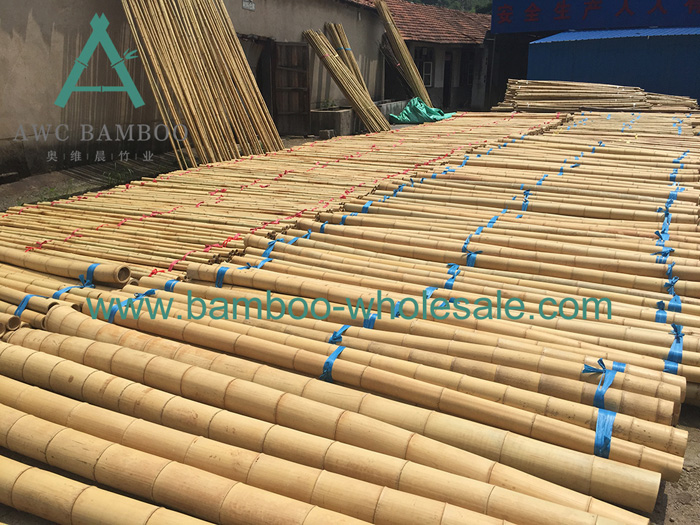 Bamboo Poles Suppliers