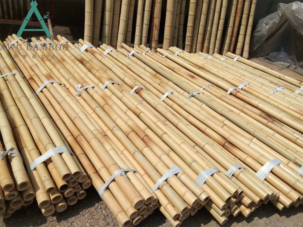 How to Make a Bamboo Trelli