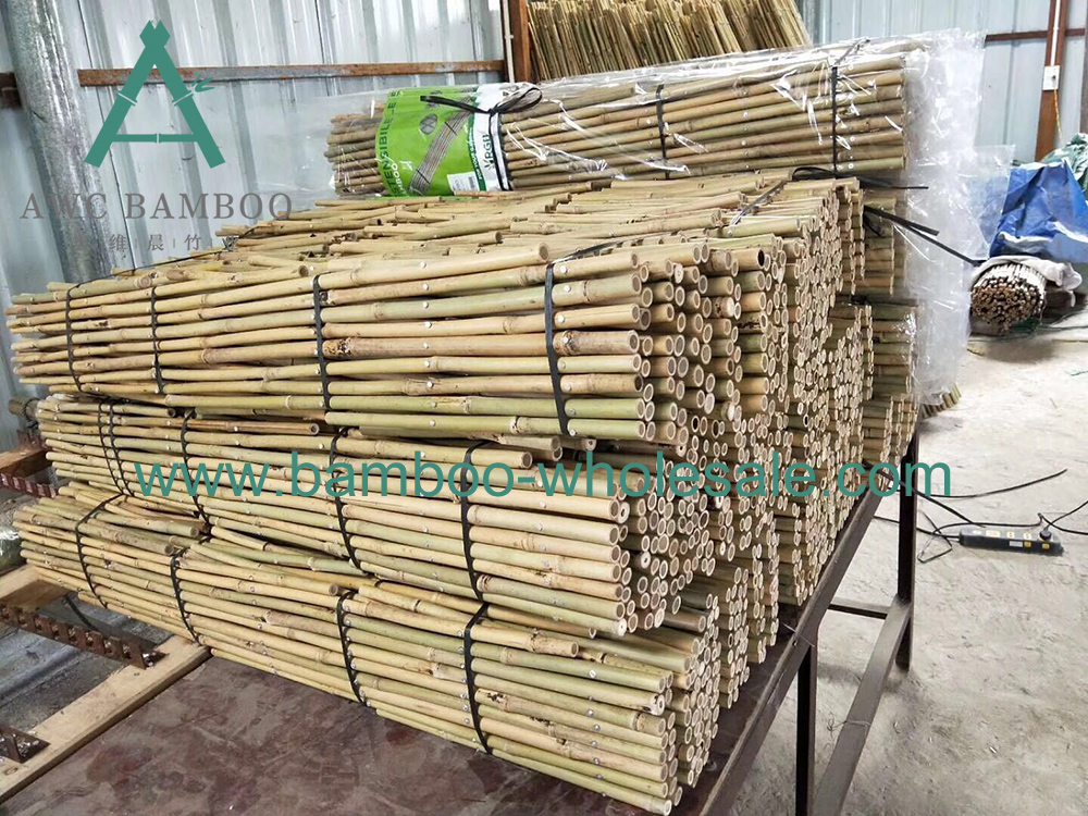 Expandable Bamboo Trellis Fence