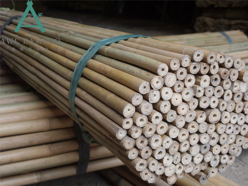 A Few Reasons Why You Should Consider White Bamboo Poles