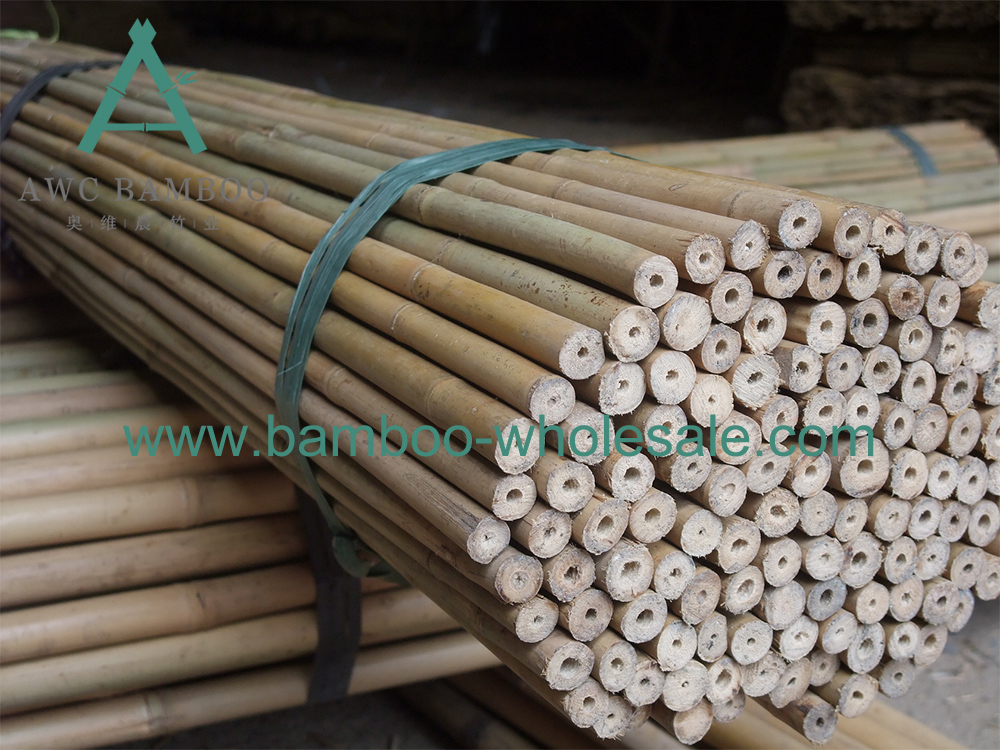 tonkin bamboo poles