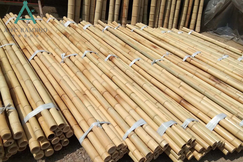 White Bamboo Sticks - A Historical Introduction
